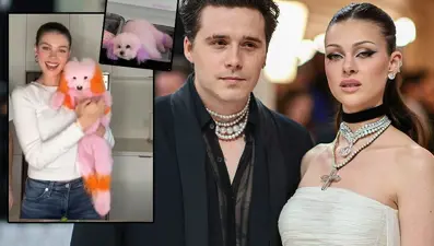 Köpeklerini boyatan Beckham çifti tepki çekti