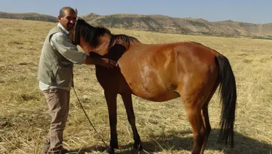 Batman'da ata tüfekli saldırı (Vücudundan 18 saçma çıktı)