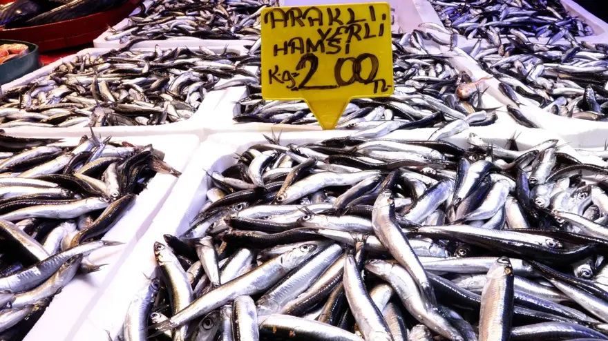 "HAMSİNİN ARASINA İSTAVRİT KARIŞIYOR" 2