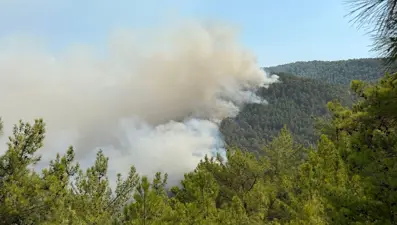 Muğla ve Antalya'daki orman yangınları kontrol altında