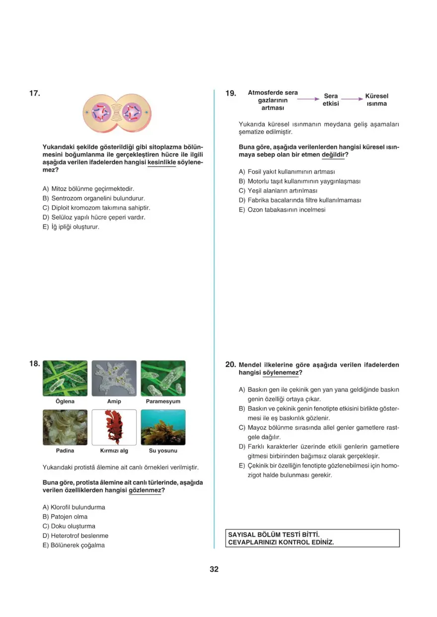 Uğur Okulları TYT -1 deneme sınavı 31