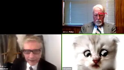 Online duruşmada hakim karşısında iki avukat bir kedi buldu
