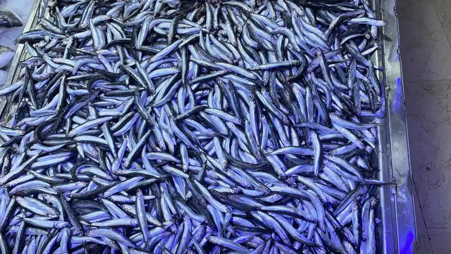 Kilosu 50 liraya kadar düştü: Tezgah önünde kuyruk oluyor 4 Kilosu 50 liraya kadar düştü: Tezgah önünde kuyruk oluyor 4