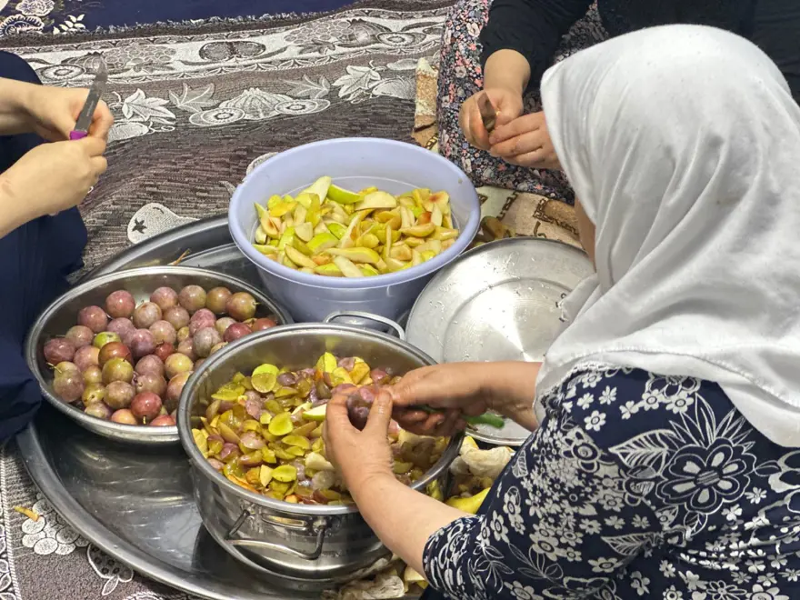 Dut, erik, kayısı ve elmadan yapılıyor: Güneşte kurutulup kış için hazırlanıyor Dut, erik, kayısı ve elmadan yapılıyor: Güneşte kurutulup kış için hazırlanıyor