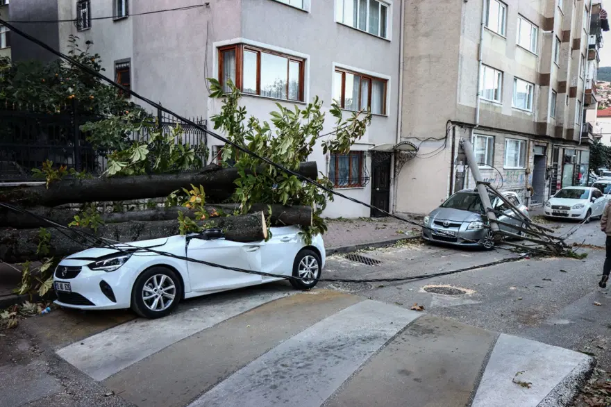 Bursa’da lodos etkili oldu (Elektrik direği ve ağaç araçlarınüzerine devrildi) 2