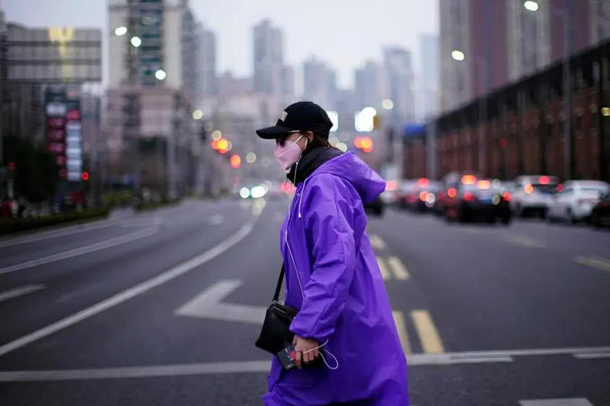 Covid-19 tahmin edilenden daha fazla kediye bulaşmış 17