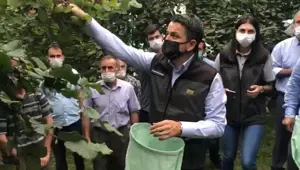 Bakan Pakdemirli: Giresunlu üreticilerimizin ORKÖY projesi kapsamındaki kredi borçları 1 yıl ertelendi