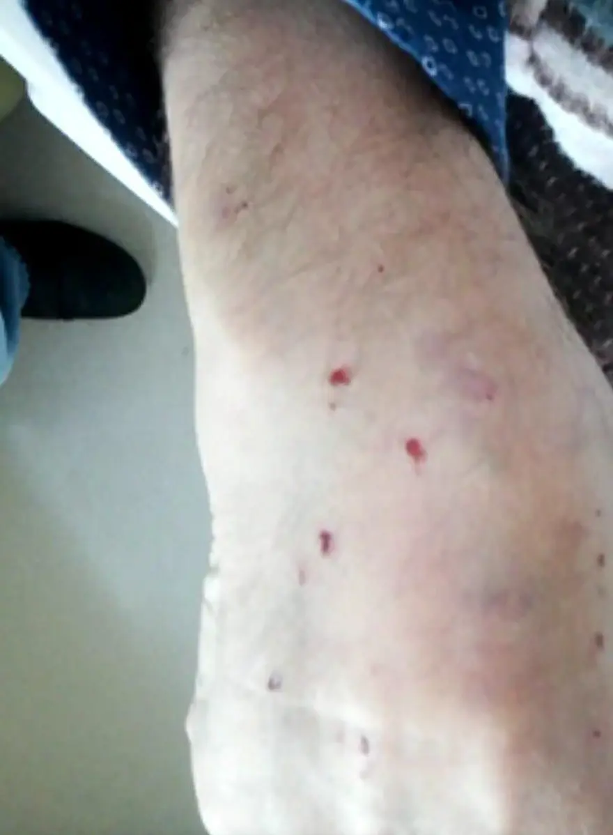 Atatürk'e benzerliğiyle dikkat çeken Göksel Kaya'ya eşinden dayak: 'Geber' dedi, yumruk ve tekme attı 7