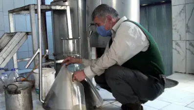 Torosların zirvesinden toplayıp yağının 10 gramını 20 TL'den satıyorlar