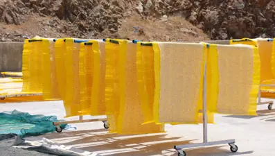 Kış aylarının favori çorbasıydı: Cips haline Avrupa'dan talep yağıyor, kilosu 250 TL