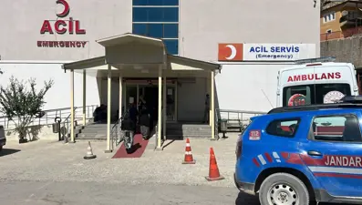 Ceviz toplamak için ağaca çıktı, düşüp hayatını kaybetti