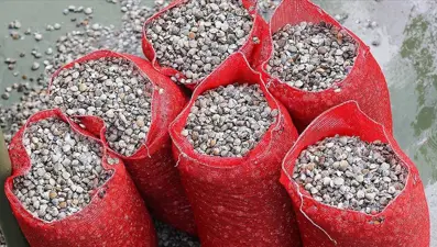 Bir tondan fazla midyeye el konuldu