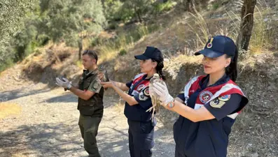 25 bıldırcın ve 21 keklik doğaya salındı