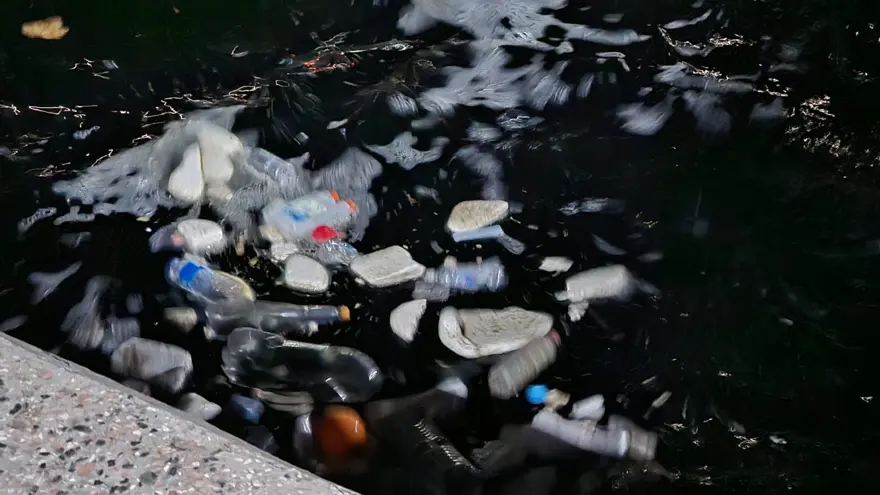 Lodos sonrası ortaya çıktı: Çöp yığınları şoke etti 1