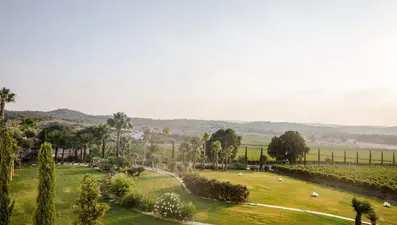 Urla Gezi Rehberi: Türkiye'nin Toskana'sı