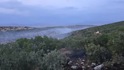 Diyarbakır'da örtü yangını