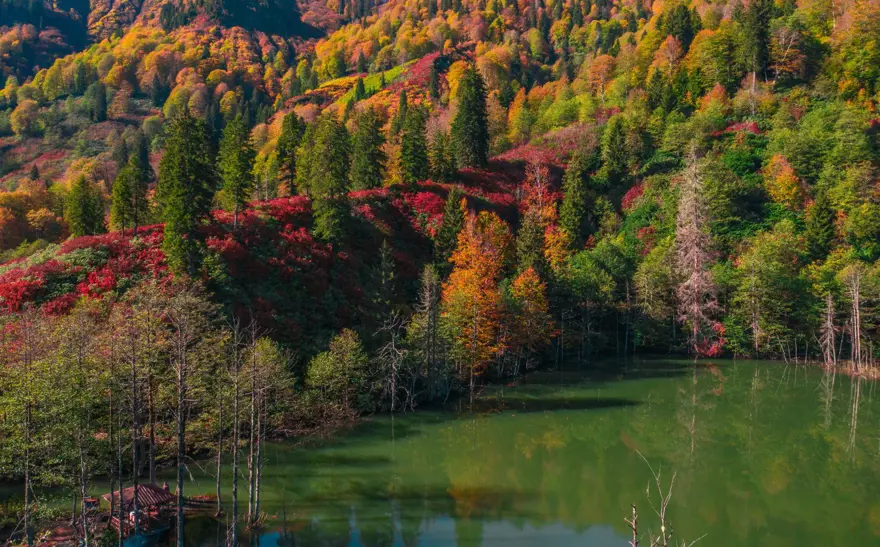 Artvin'den masalsı sonbahar manzaraları 1