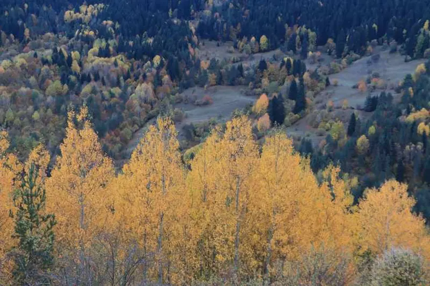 'Anadolu'nun yüce dağı' Ilgaz'da iki mevsim bir arada 5