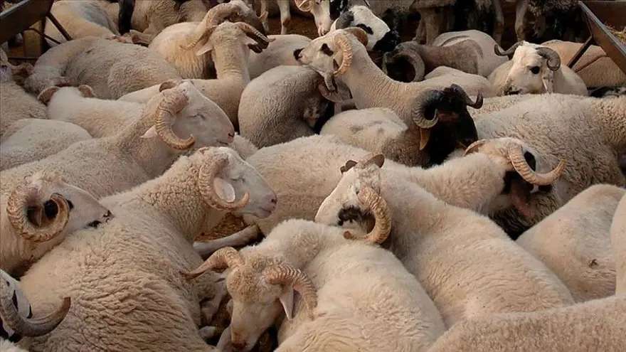 2024 KURBAN BAYRAMI TATİLİ NE ZAMAN BAŞLIYOR? 1