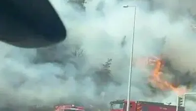 Aydın'da makilik alanda yangın