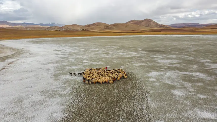 Van'daki Tuz Gölü kuraklık ve aşırı buharlaşma nedeniyle yeniden kurudu 13