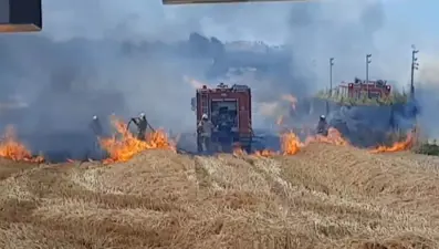 Silivri'de yangın paniği: Alevler çiftliğe sıçradı