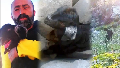 Keçi yavrusu ile kurtarıcısının güldüren diyaloğu