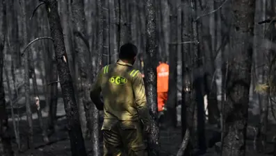 Orman işçilerinin talepleri: "Toplu sözleşme acil çözülmeli"