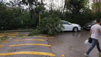 Türkiye'nin kaskolu araç karnesi (İllere göre oranlar)