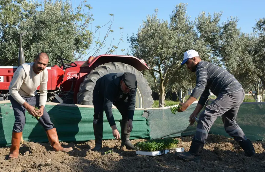 Hüsnü Şenlendirici çiftliğinde köy hayatı yaşıyor 1