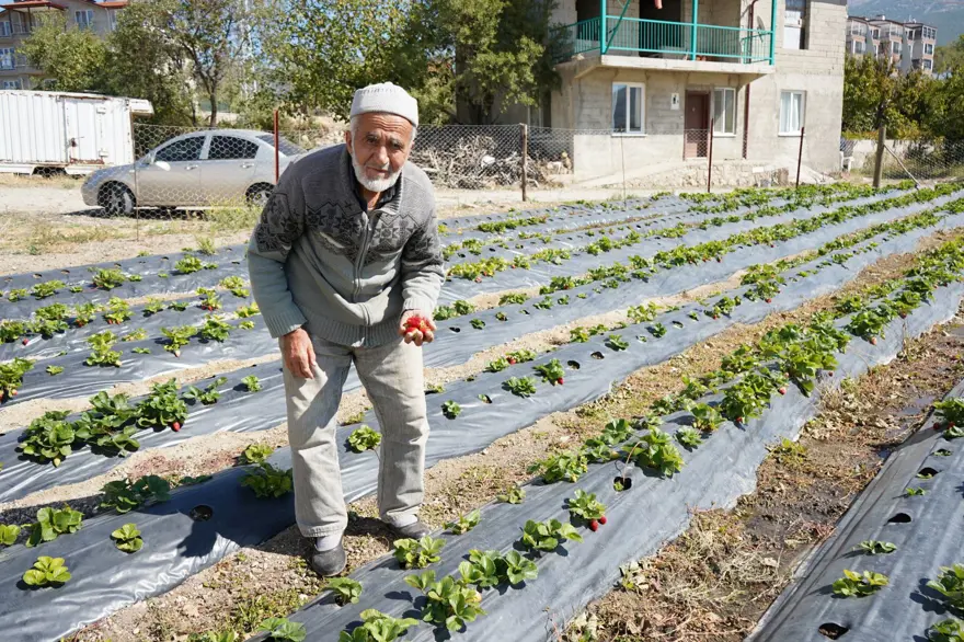 85 yaşındaki İbrahim dedenin "Hayır Bahçesi": 30 yıldır ücretsiz dağıtıyor 3