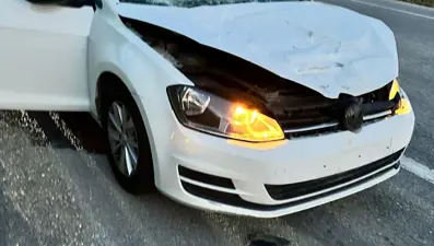 Sakarya’da yola fırlayan geyiğe otomobil çarptı