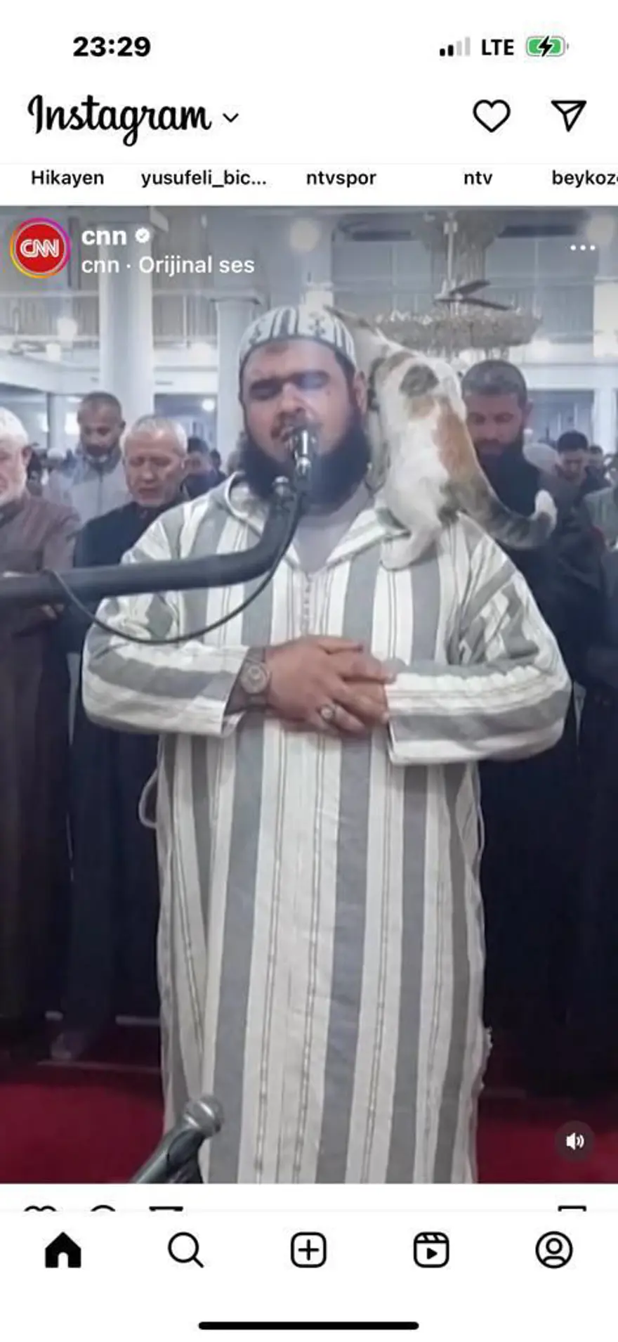 Teravih namazı kıldıran imamın kedi şefkati viral oldu 6