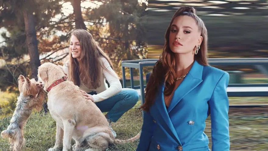 Serenay Sarıkaya Kaz Dağları'nda arsa aldı 
