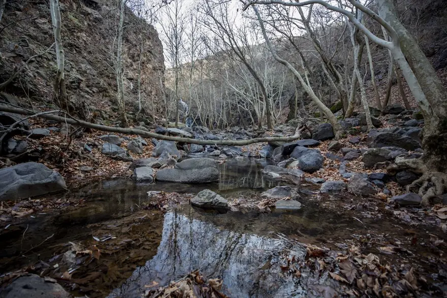 "MÜKEMMEL BİR HİZMET OLACAK" 6 "MÜKEMMEL BİR HİZMET OLACAK" 6