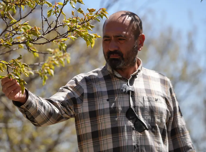 Zirai don, meyve bahçelerinde ürün bırakmadı: "22 yıldır ilk kez bu kadar şiddetli oldu 4