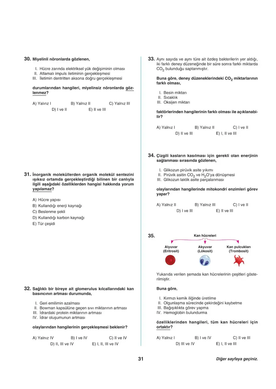 Uğur Okulları AYT -2 deneme sınavı 30
