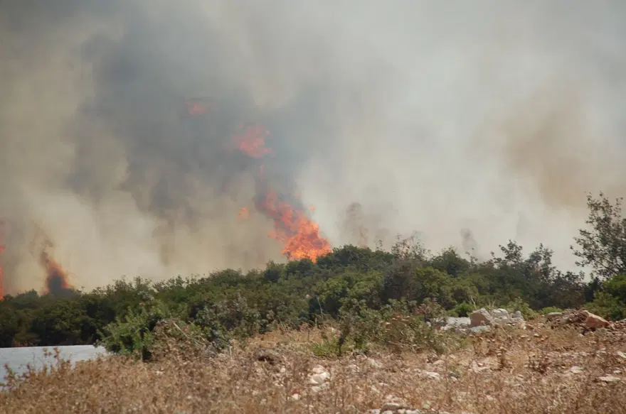 Yangın çıkan iller: Antalya, Adana, Mersin,Muğla, Osmaniye ve Kayseri 'de orman yangınları 54