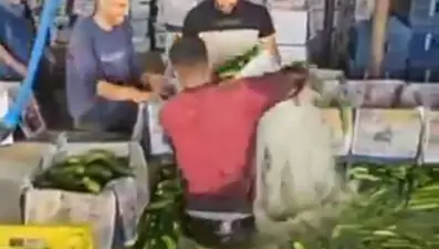 Salatalık havuzunda mide bulandıran görüntü... Bakanlık açıklama yaptı