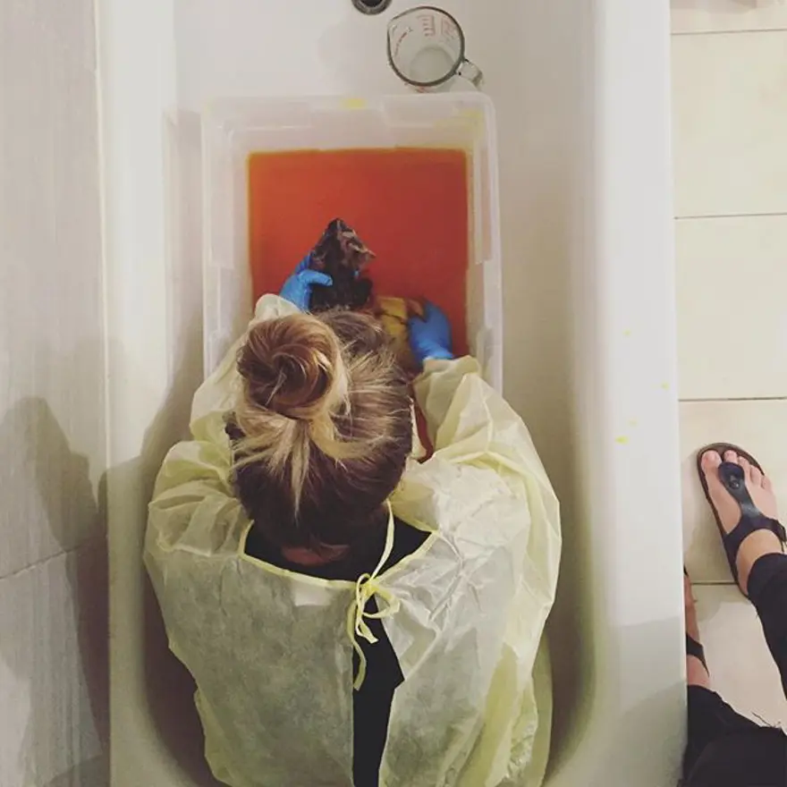 Hayatını kedileri kurtarmaya adadı 347