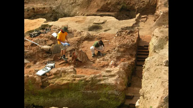 Tovuqni sikish mumkinmi? Yosh onalar jinsiy aloqa qilishni xohlashadi