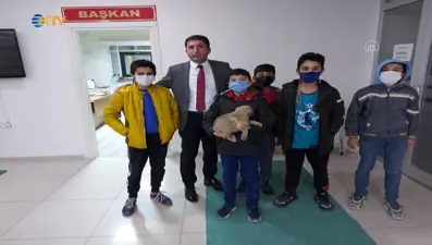 Çocukların yaralı köpek için verdiği çaba yürekleri ısıttı
