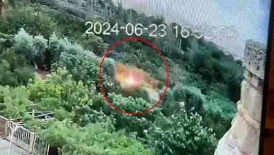 30 dönüm alanı küle çeviren yangının başladığı an: Teller birbirinetemas etti, alevler rüzgarın etkisiyle büyüdü