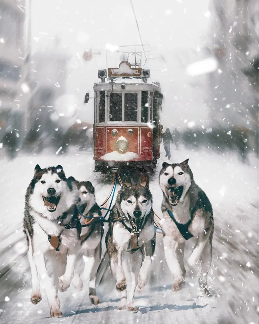 Sanatçı Hüseyin Şahin'den gerçek hayatta görmek isteyeceğiniz rüya gibi sahneler 20