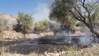 Mardin'in 2 ilçesinde örtü yangını
