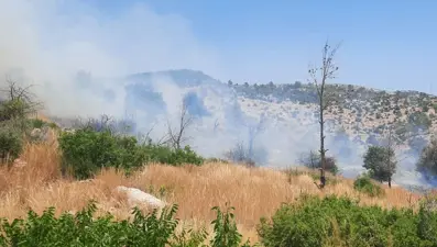 Silifke'de ağaçlık alanda yangın