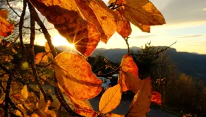 Gümüşhane'de Alpleri aratmayan güzellik: Zirveler kış, vadiler sonbahar