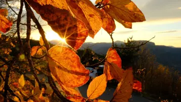 Gümüşhane'de Alpleri aratmayan güzellik: Zirveler kış, vadiler sonbahar