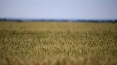 Çiftçilerin kayıt için son tarihi 31 Aralık