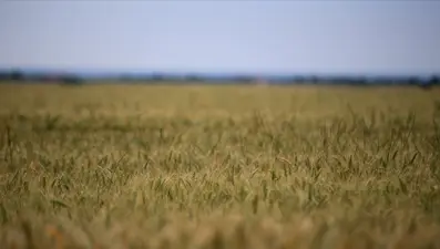 Tarım sigortasında yeni indirim ve destekler